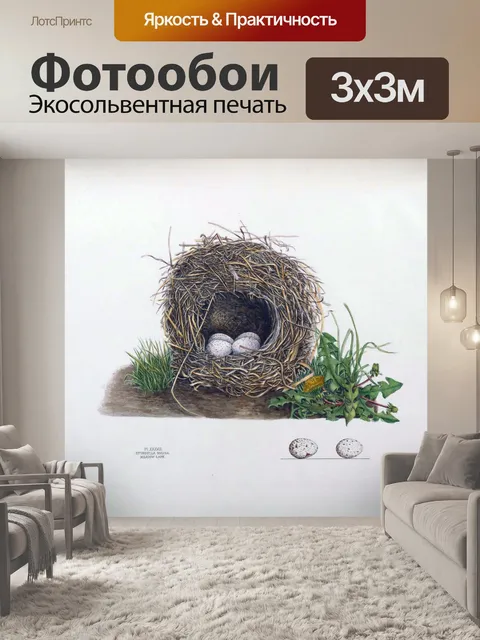 Фотообои Гнездо птицы винтажное искусство