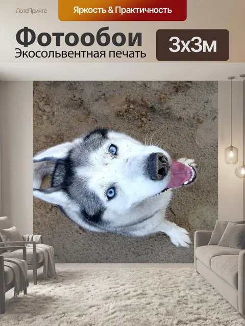 Фотообои Собака