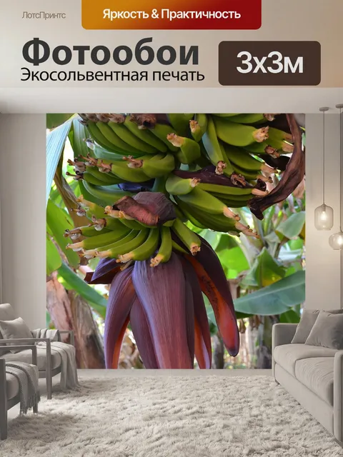 Фотообои Банан