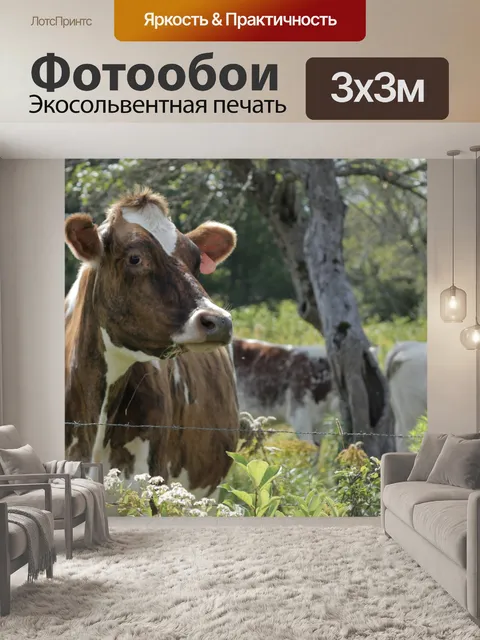 Фотообои Коровы