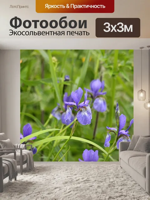 Фотообои Ирисы