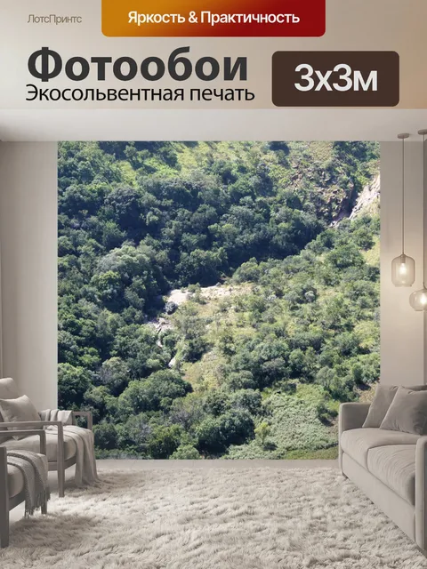 Фотообои Антенна растительности на склоне