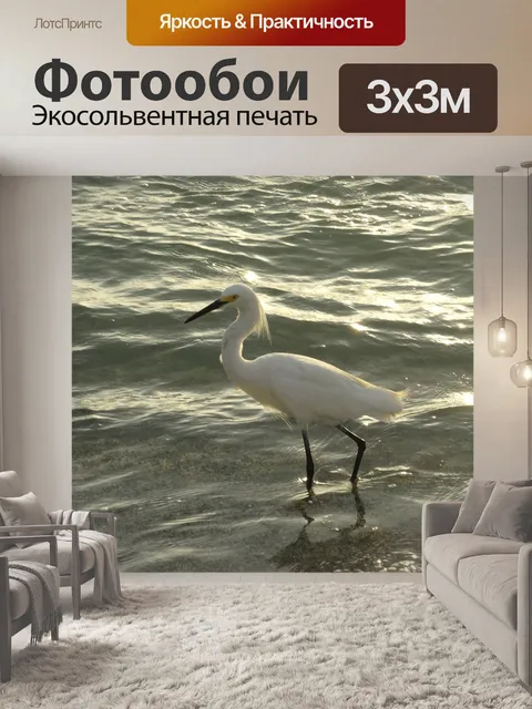 Фотообои Птица