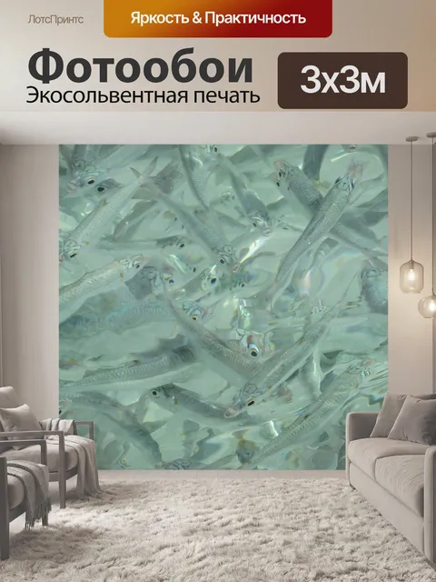 Фотообои Школа