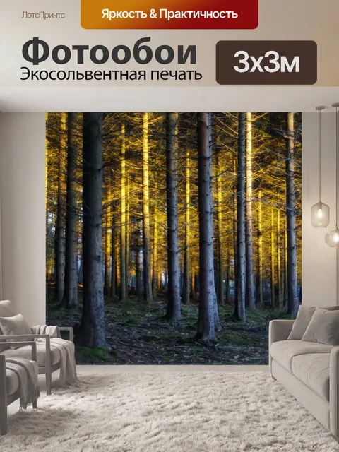 Фотообои Заколдованный лес