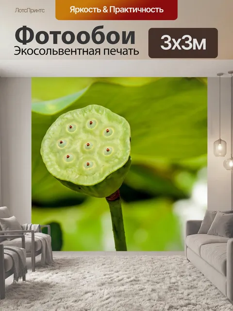 Фотообои Цветок лотоса