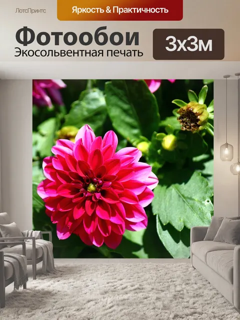 Фотообои Цветок