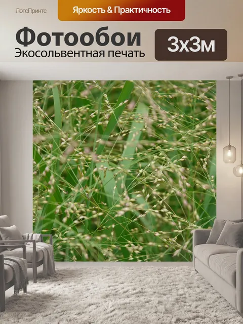 Фотообои Дрожащая трава
