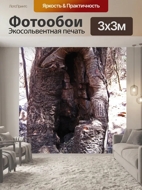 Фотообои вид внутрь проема в дереве