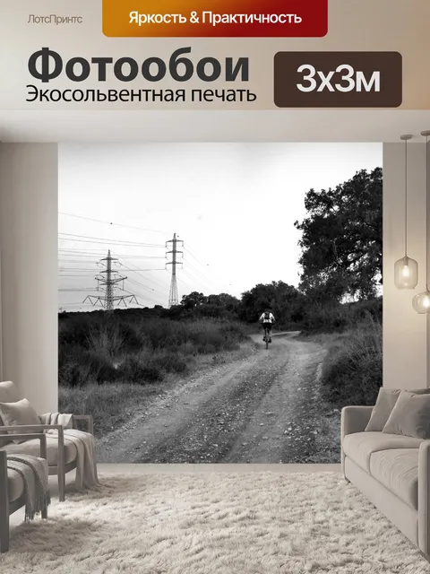 Фотообои Одинокий велосипедист