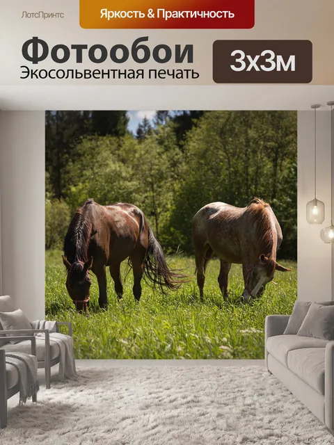 Фотообои Лошади
