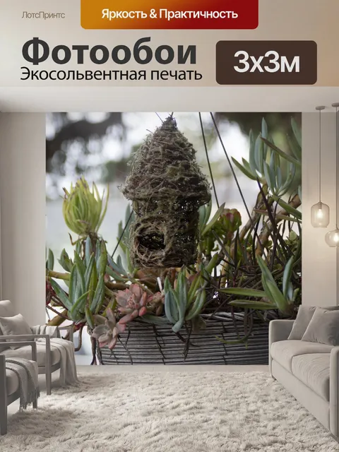 Фотообои мох скворечник
