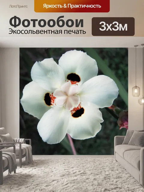 Фотообои белые дикие ирис
