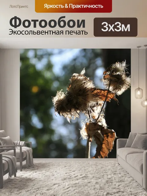 Фотообои Блик