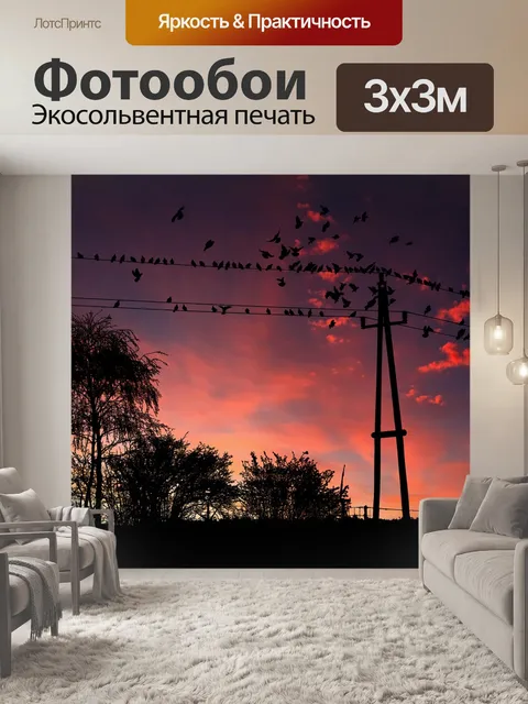 Фотообои Птицы