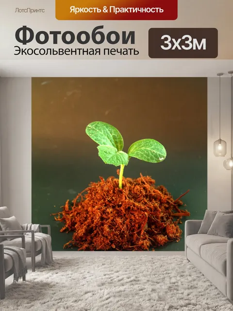 Фотообои Молодое дерево
