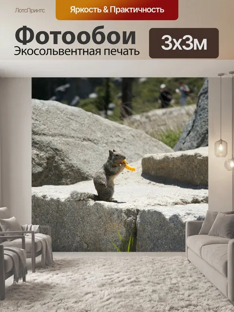 Фотообои Бурундук ест Закуска