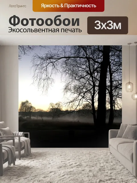 Фотообои Лес