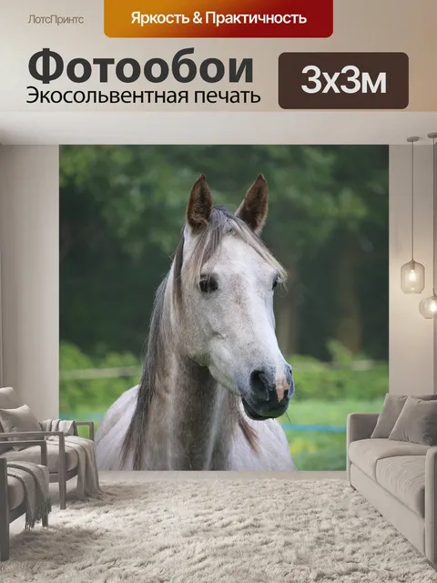 Фотообои Лошадь