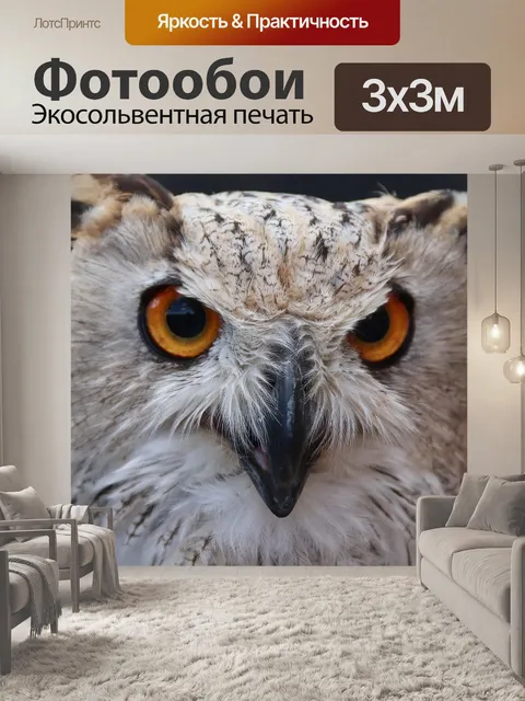 Фотообои Филин