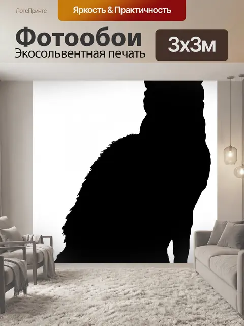Фотообои Черная кошка