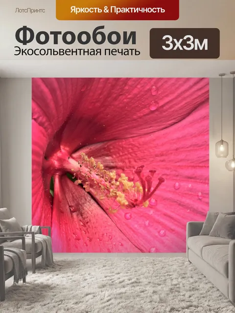 Фотообои Розовый Гибискус Макро