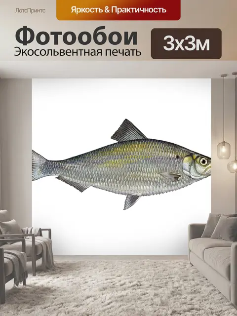 Фотообои Винтажное искусство с рыбной сельдью