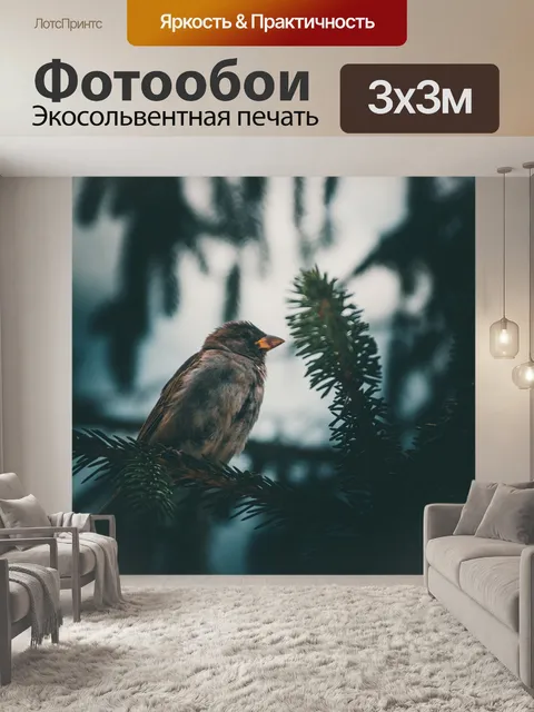 Фотообои Bird