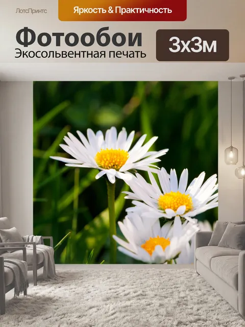 Фотообои ромашки