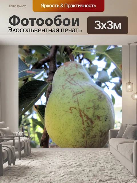 Фотообои груша