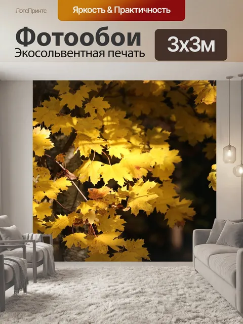 Фотообои Падение