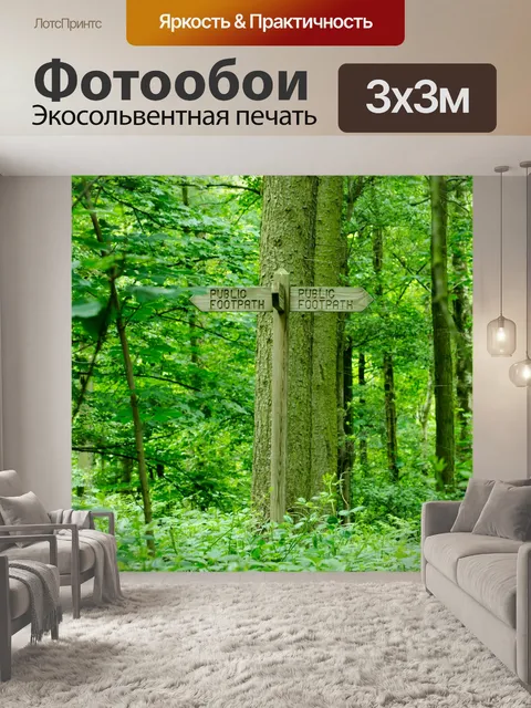Фотообои Лес