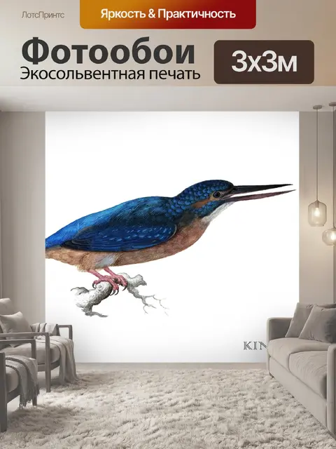 Фотообои Kingfisher Bird Vintage Art