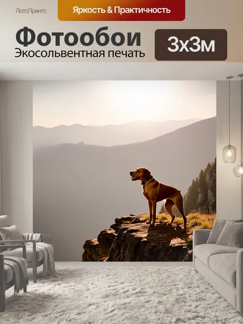Фотообои лабрадор-ретривер с коричневой шерстью, стоящий на краю горного обрыва, глядя на восходящее солнце