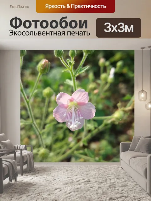 Фотообои Природа