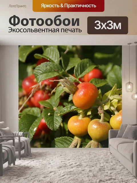Фотообои Шиповника
