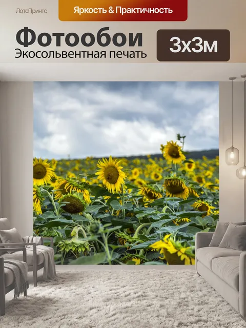 Фотообои Поле подсолнухов