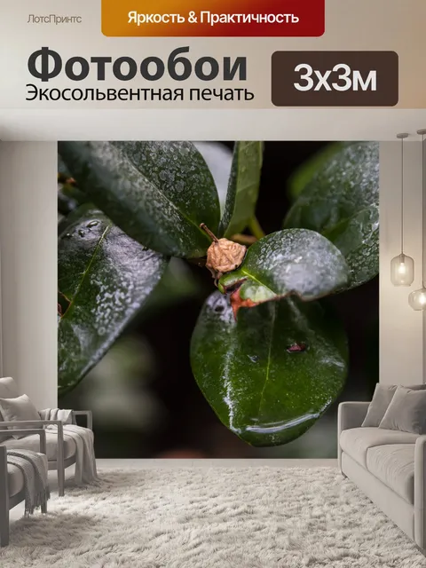 Фотообои Фея Шляпа на Заводе