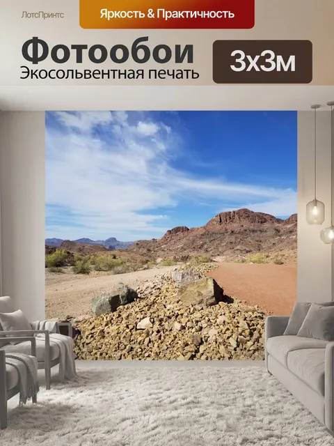 Фотообои Аризонский пустынный пейзаж