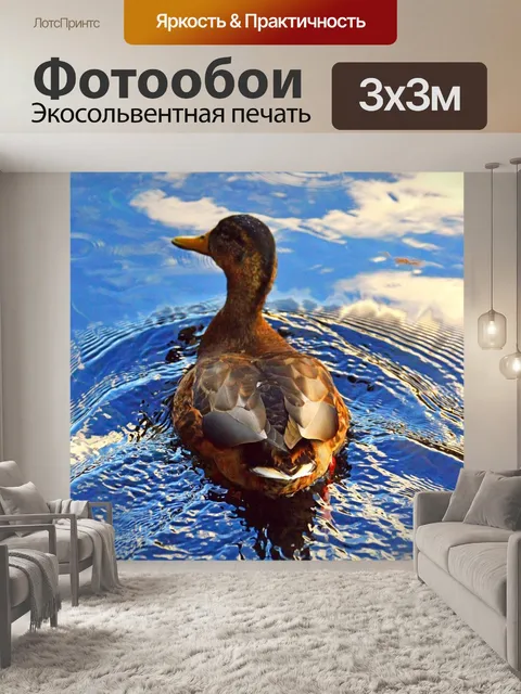 Фотообои Утка