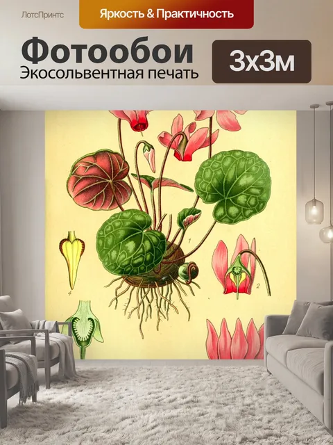 Фотообои Цветок красный винтаж арт