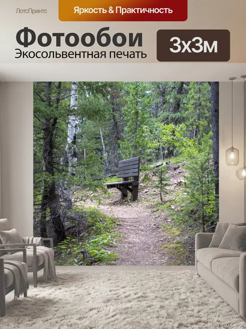 Фотообои Скамья в лесу