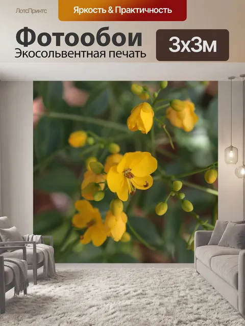 Фотообои Море