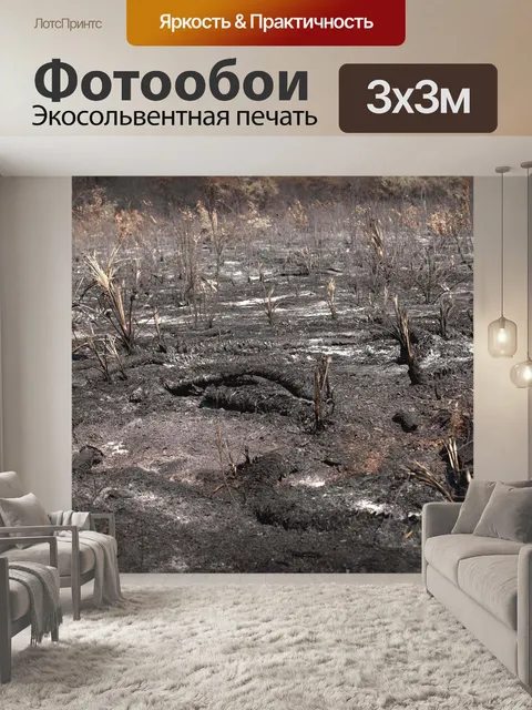 Фотообои Сгорел