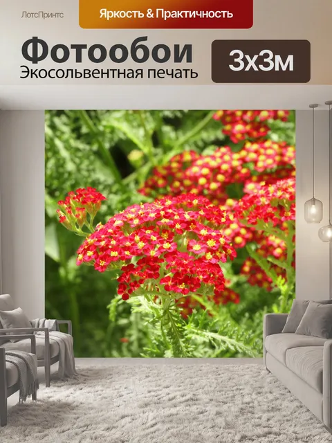Фотообои Крошечные красные цветы