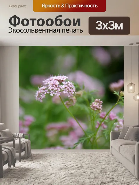 Фотообои Мягкие фиолетовые цветы в зеленом поле