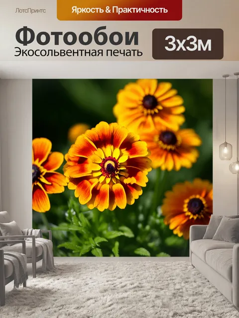Фотообои фотография гелениумов с упором на макросъемку, акцентируя внимание на текстуре и деталях лепестков