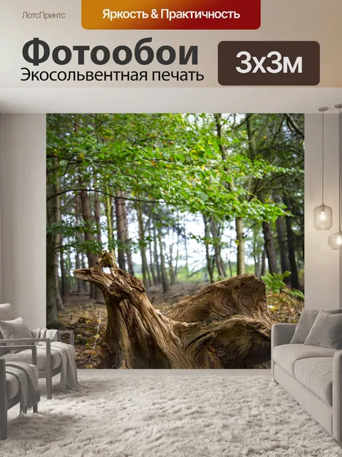 Фотообои Пень