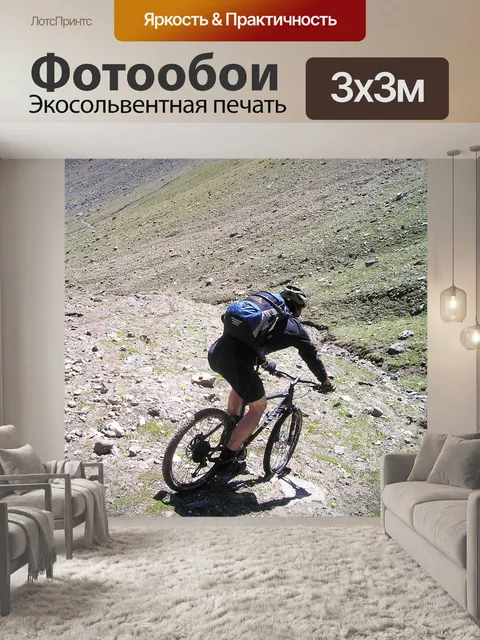 Фотообои Спуск