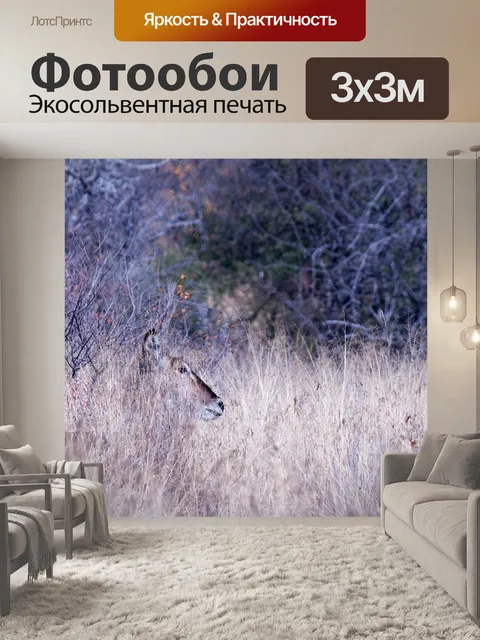 Фотообои тонкий бак в сухой траве